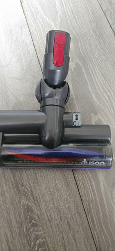 Dyson for - for, animal